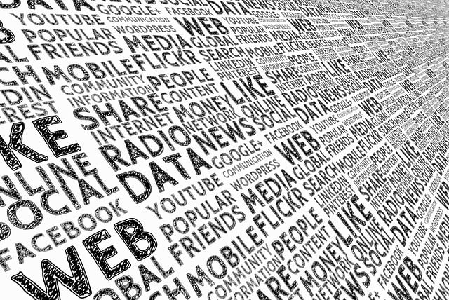 Utilisation des médias sociaux dans le marketing numérique