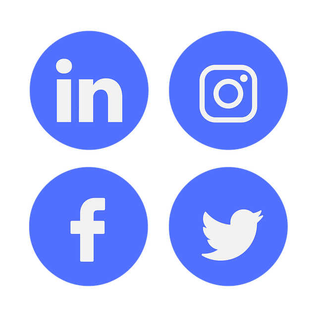 <h1>L'utilisation des médias sociaux pour promouvoir le divertissement</h1>