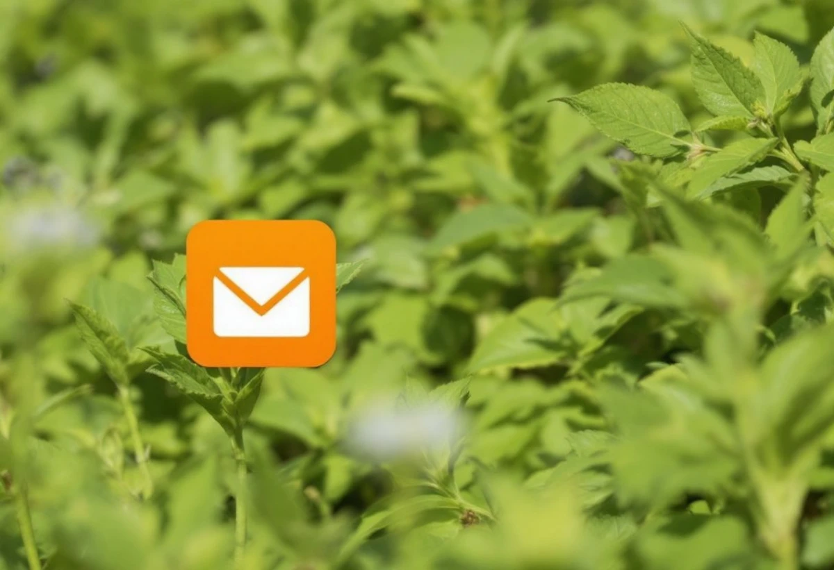 Maîtrisez l'Accès à Votre Boîte Mail Orange en 5 Minutes Chrono !